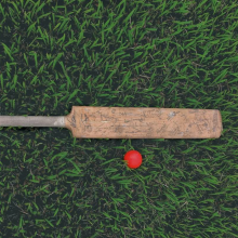 cricket paddle and ball in grass
